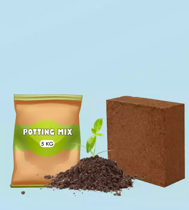Potting Mix and Cocopeat