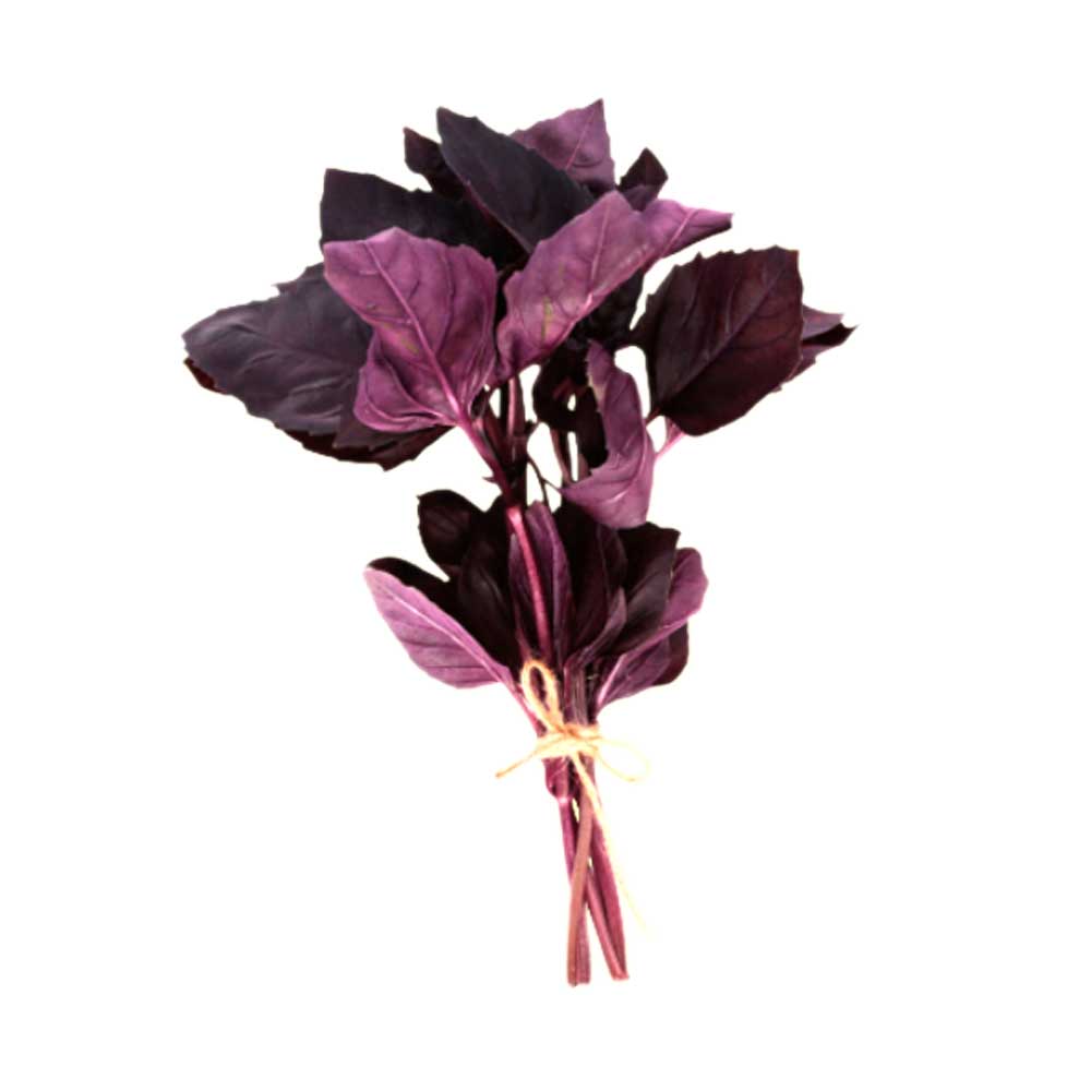 Basil Purple Seeds