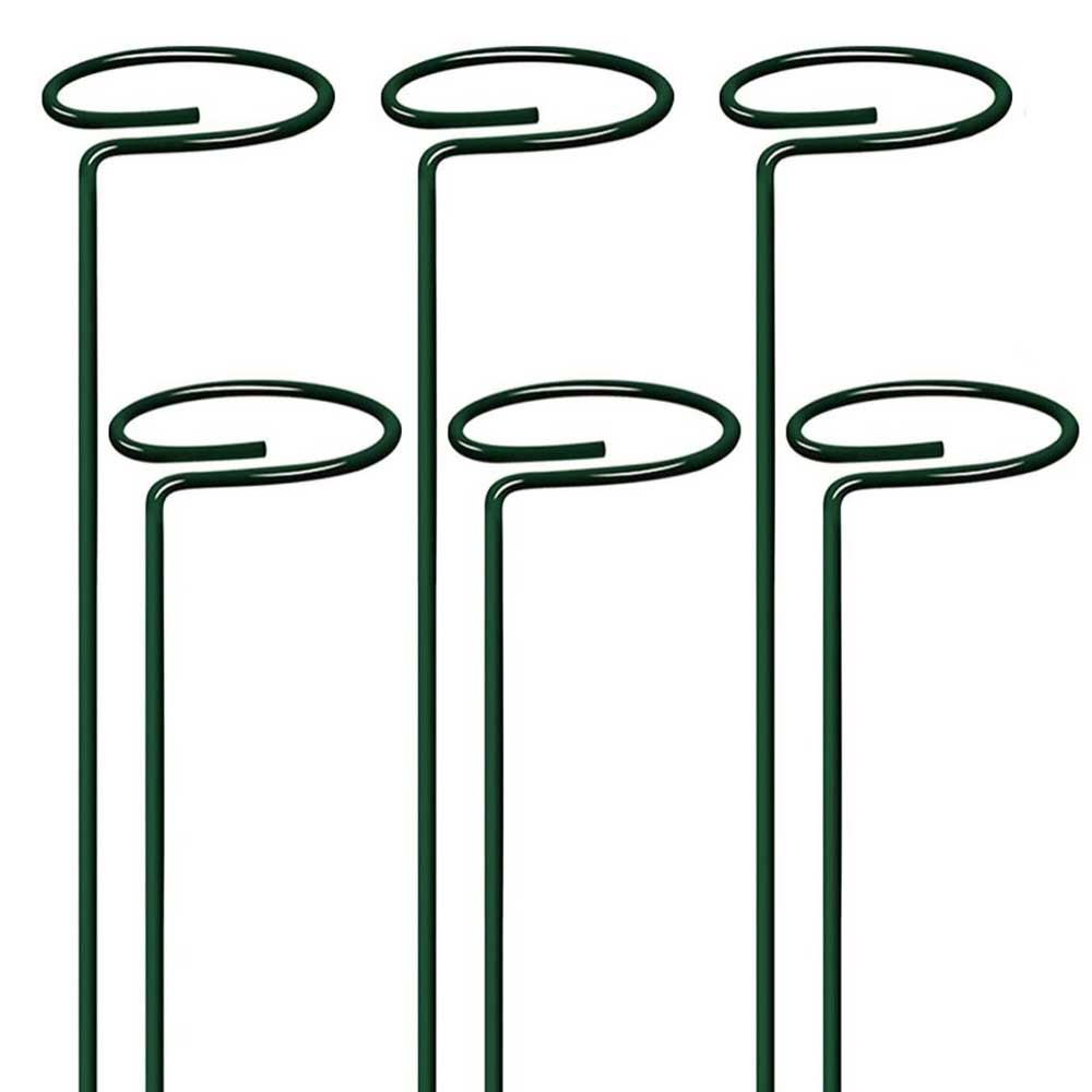 Plant Stakes (Set of 5)