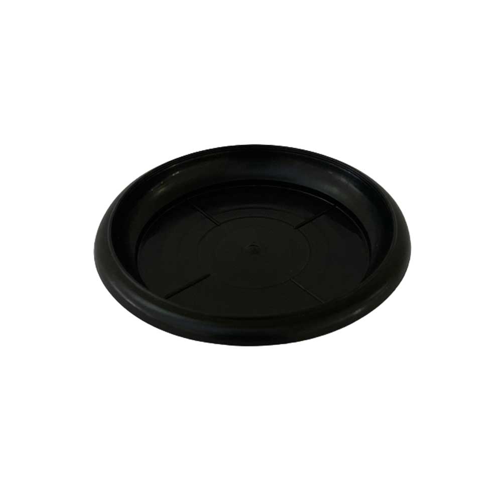 Plate (Set of 2)