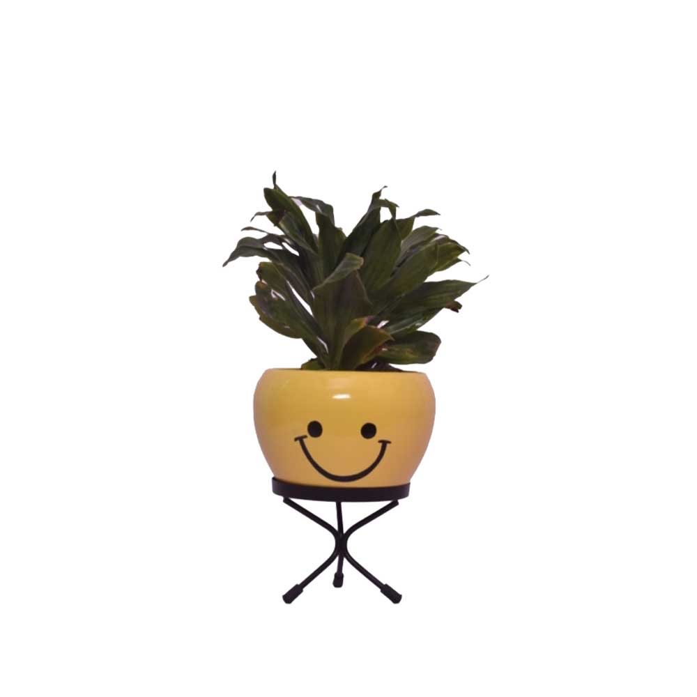 Apple Tabletop Emoji Planter