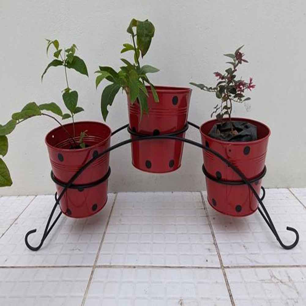 3 Pots Planter with Stand