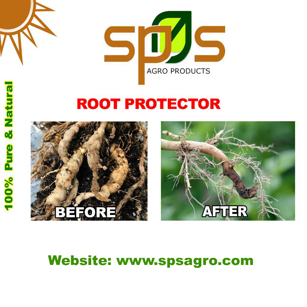 Root Protector