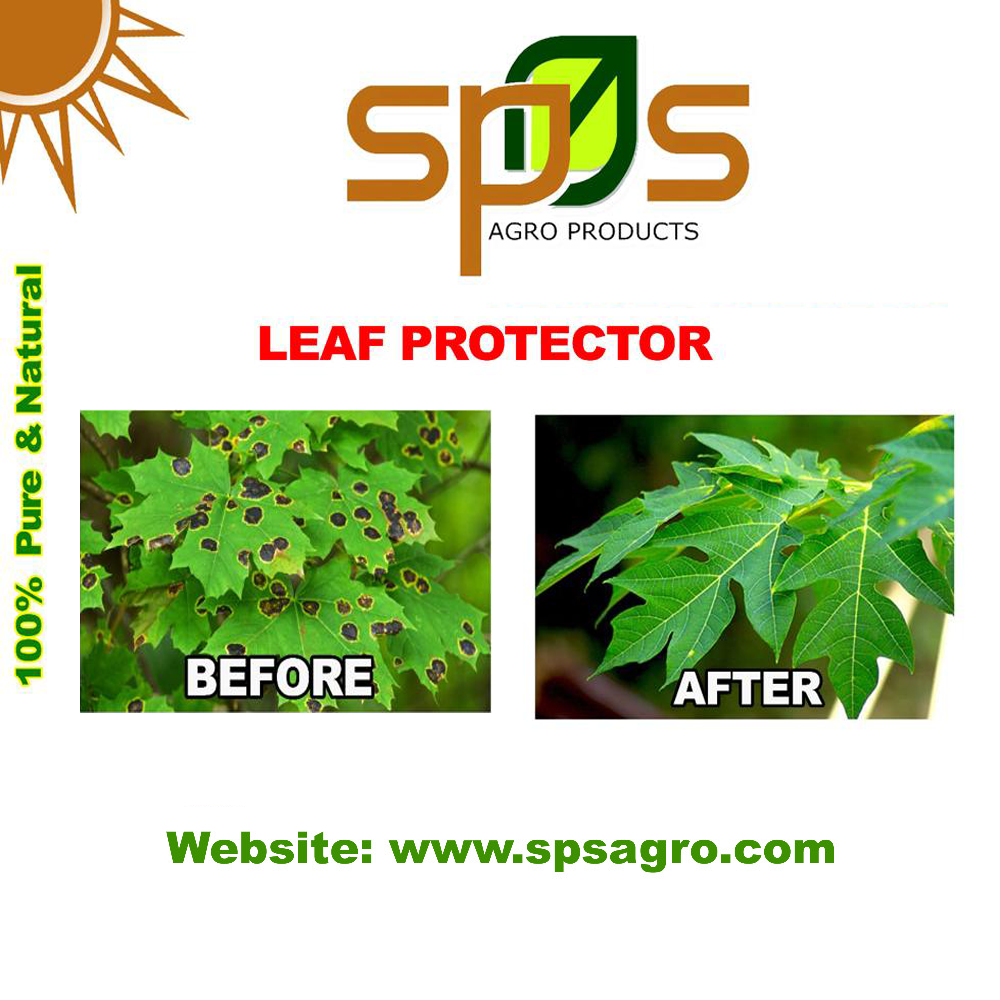 Leaf Protector